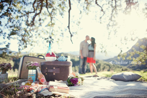 cute-picnic-engagement-12